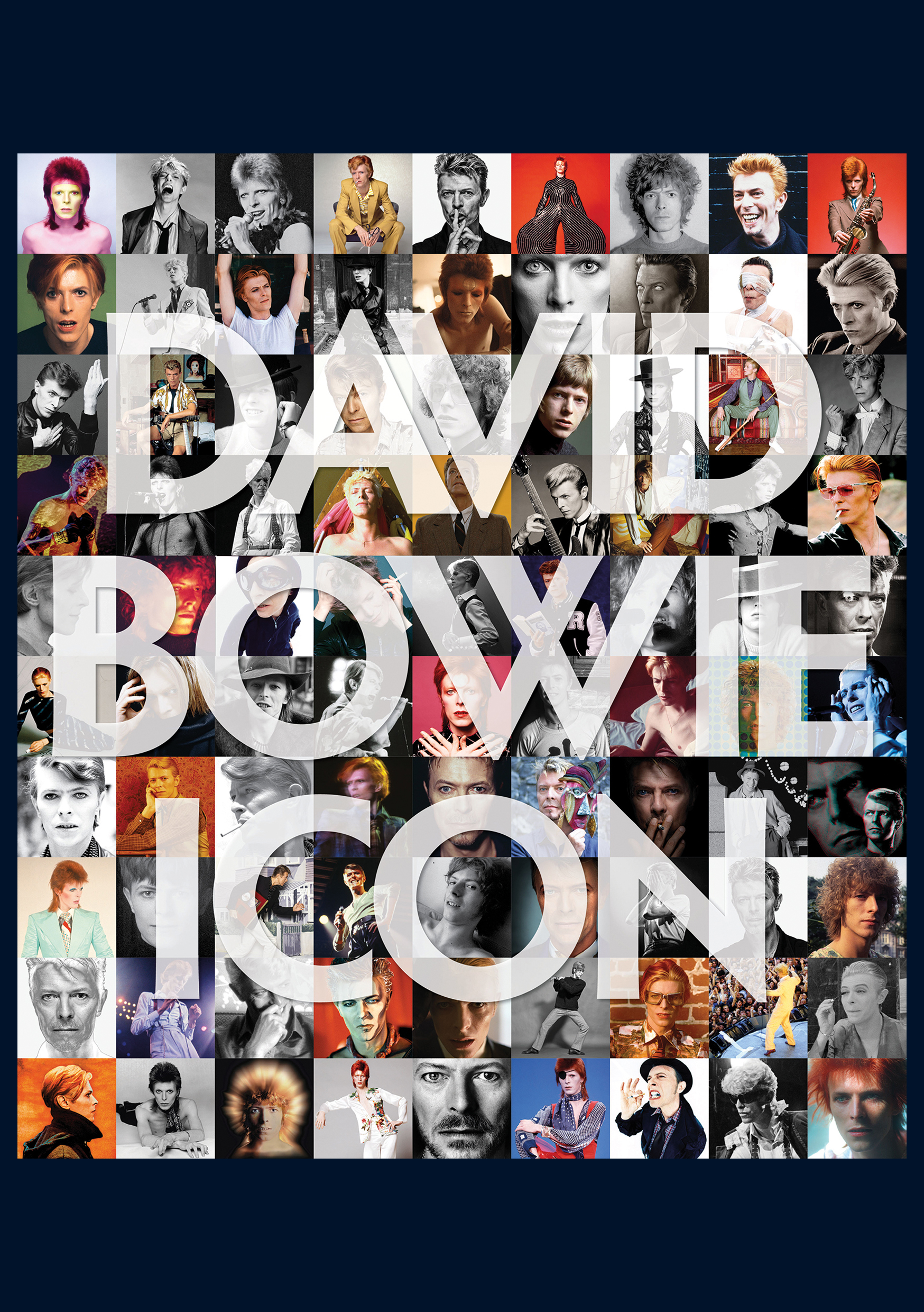 David Bowie Icon Limited Editions