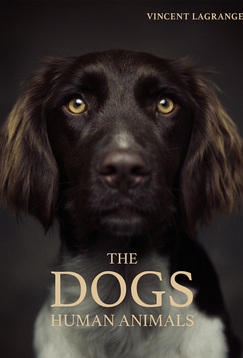 The Dogs Human Animals - First book of dog photography by Vincent Lagrange, presenting canine portraits full of tenderness and personality