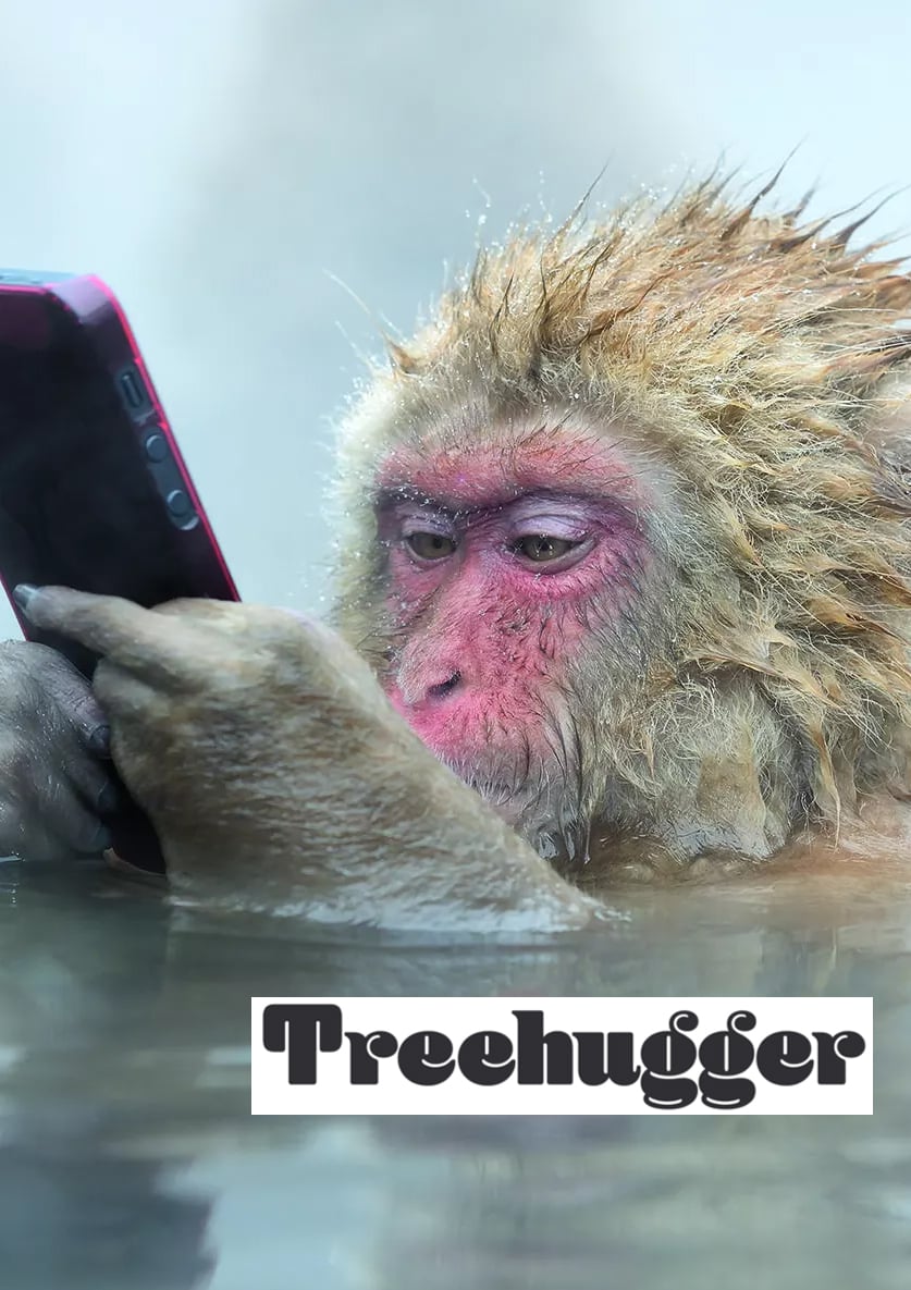 Stunning Wildlife Photos of Mother Earth Boost Conservation Message by teNeues