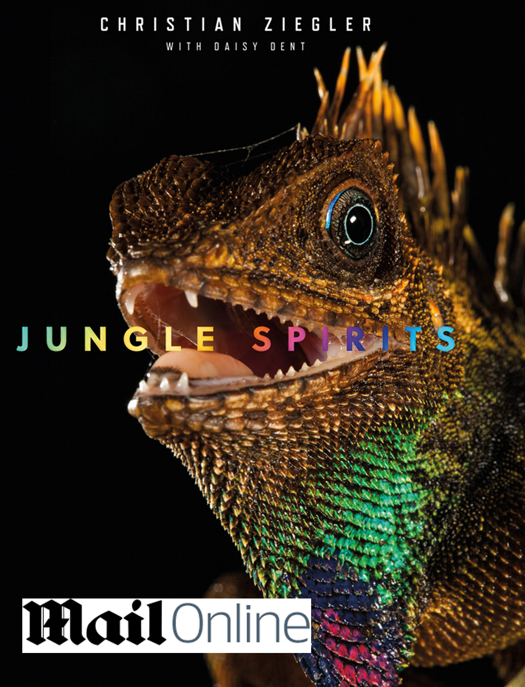 Jungle Spirits is a comprehensive look at the world's most diverse tropical rain forests by teNeues. Text in English, German and French.