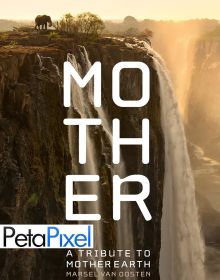Mother: An elephant, a waterfall, a tree. For award-winning nature photographer Marsel van Oosten, simplicity is the ultimate form of expression.