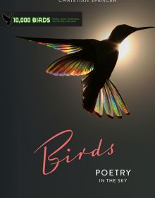 Birds: Poetry in the Sky teNeues