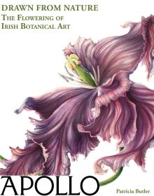 9781788842365 Unique account of Irish botanical art by author, art historian, and curator, Patricia Butler in Apollo Magazine