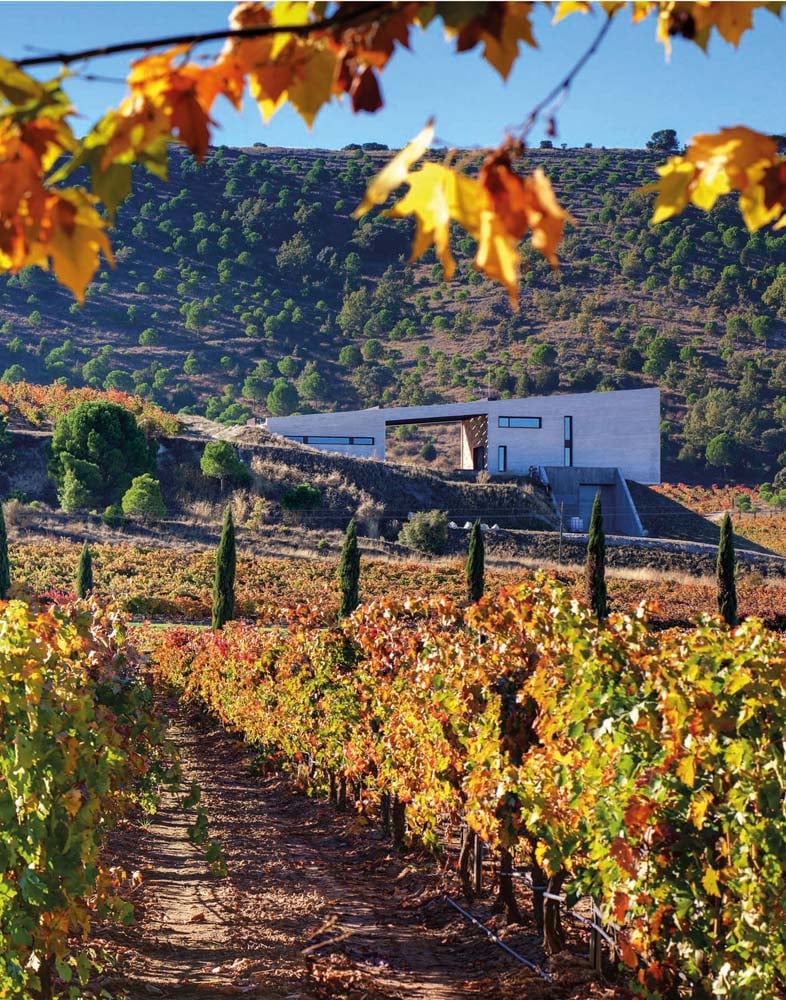 A winery with vineyard and cypress trees, under sunny blue sky, on cover of 'The World Winery Collection, Innovative design, sustainability and the landscape', by Forma Edizioni.