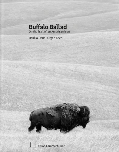 Bison roaming across empty landscape, on cover of 'Buffalo Ballad, On the Trail of an American Icon', by Edition Lammerhuber.