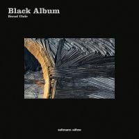 Book cover of Black Album. Published by Seltmann Publishers.