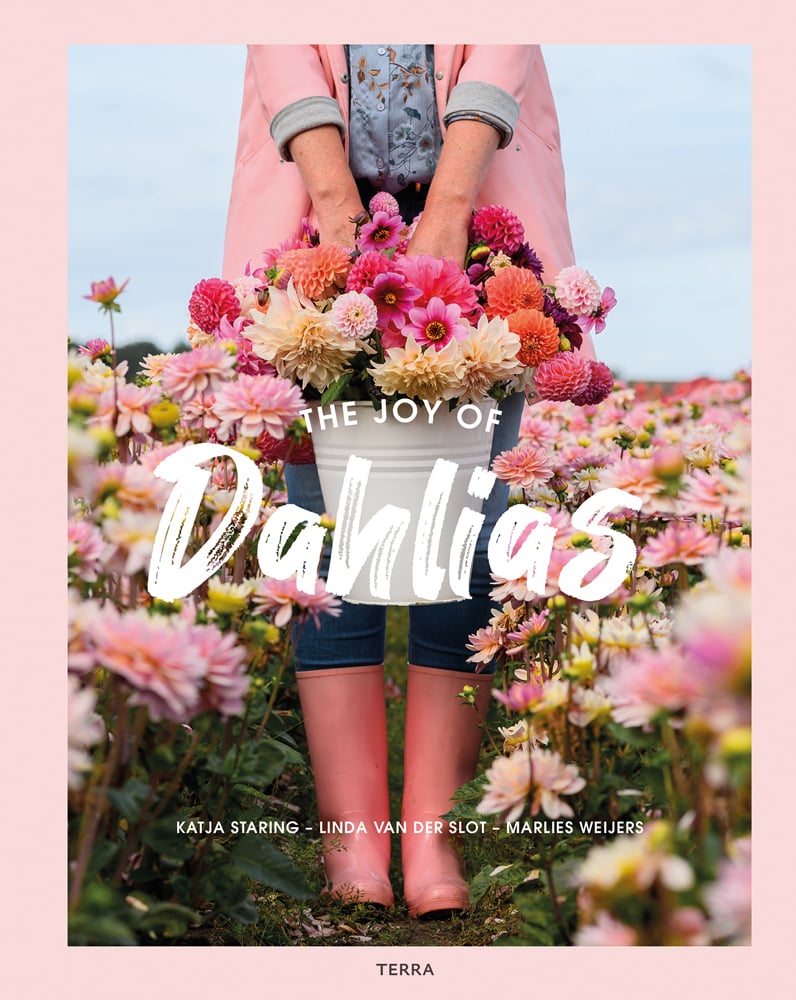 Figure in pink wellington boots, holding cream bucket filled with pink dahlias, surrounded by field of flowers, on cover of 'The Joy of Dahlias', by Lannoo Publishers.
