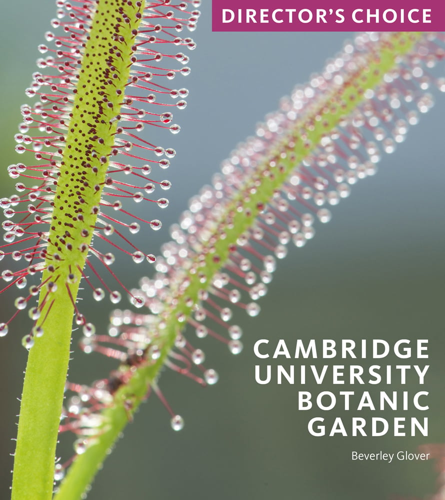 Pink Cape sundew flowers with green stems, CAMBRIDGE UNIVERSITY BOTANIC GARDEN in white font to lower right.