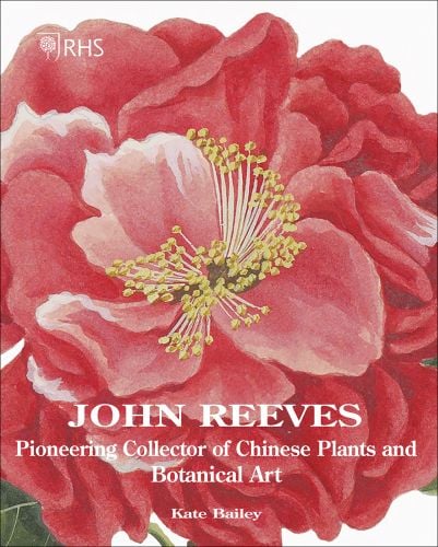 Botanical painting of pink rose on cover of 'John Reeves Pioneering Collector of Chinese Plants and Botanical Art', by ACC Art Books.