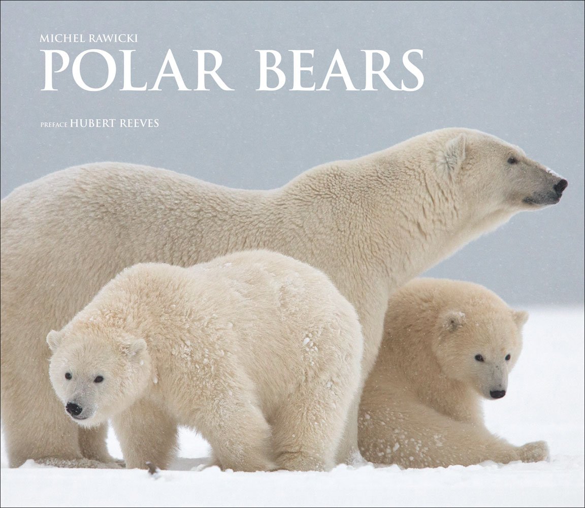 Adult polar bear with two cubs on snow, on cover of 'Polar Bears, A Life Under Threat', by ACC Art Books.