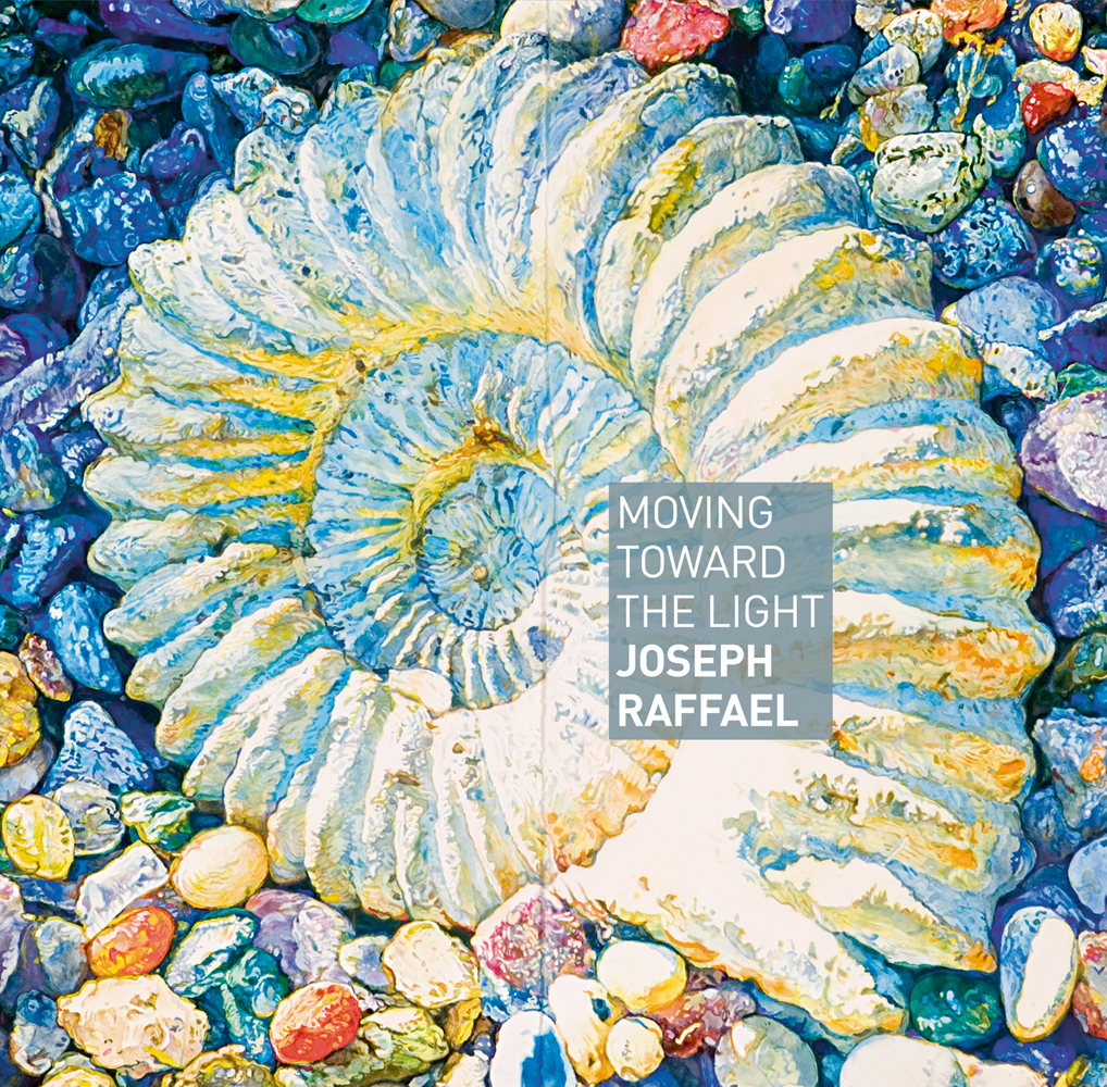 Watercolour of ammonite fossil surrounded by stones, on cover of 'Moving Towards the Light: Joseph Raffael', by ACC Art Books.