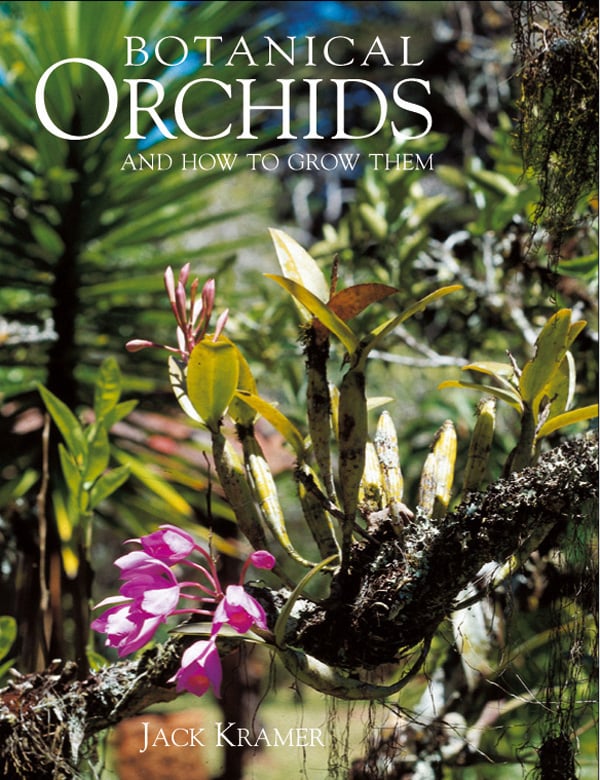 Pink orchid variety curling round tree branch, on cover of 'Botanical Orchids and How to Grow Them', by ACC Art Books.