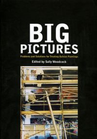 Big Pictures--Problems and Solutions for Treating