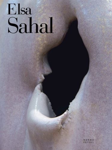 Torn hole in ceramic surface on cover of 'Elsa Sahal', by Editions Norma.