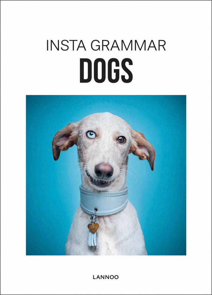 White lurcher with one blue and eye, one brown, light blue dog collar, on white cover of 'Insta Grammar Dogs', by Lannoo Publishers.