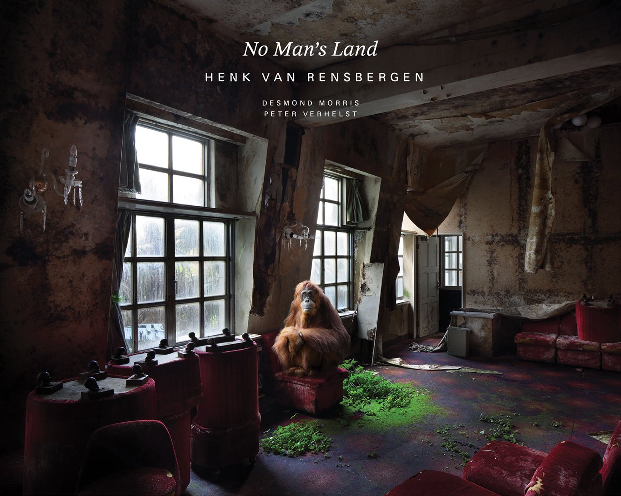 Orangutan sitting on old red theatre seat in abandoned building, on cover of 'No Man's Land', by Lannoo Publishers.