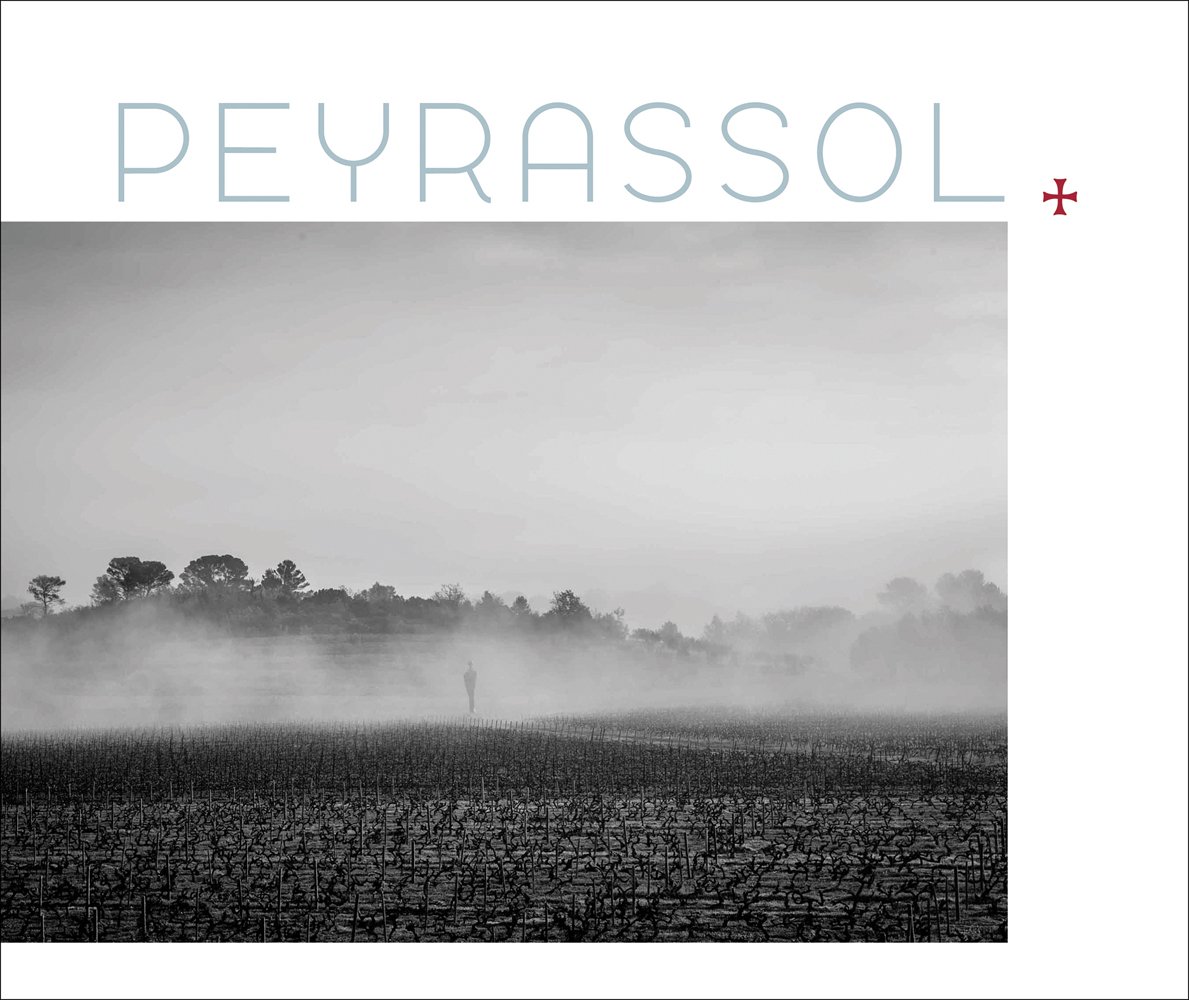 Eerie vineyard landscape with low mist, on cover of 'Peyrassol, by Lannoo Publishers.