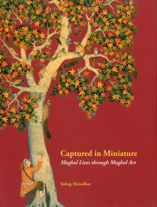 Book cover of Captured in Miniature: Mughal Lives through Mughal Art, with a painting of figure climbing truck of a tree. Published by Mapin Publishing.