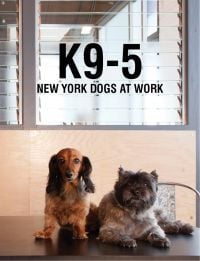 Book cover of K9-5: New York Dogs at Work, with a Dachshund and terrier laying on an office desk. Published by Pointed Leaf Press.