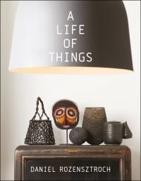 Book cover of A Life of Things, with a collection of wooden objects under a large lamp shade. Published by Pointed Leaf Press.