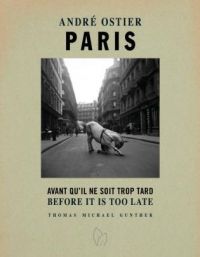 Book cover of Paris, Before it is Too Late, with a white horse kneeling down on one knee. Published by Pointed Leaf Press.