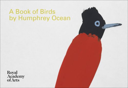 Naïve painting of long beaked bird with black head and red body, white cover, A Book of Birds by Humphrey Ocean in yellow font to upper left.