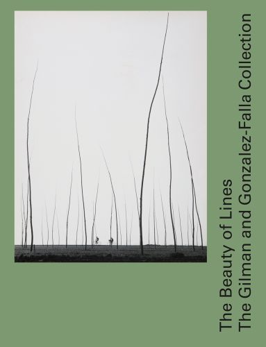 Landscape with long, leafless stems on green cover, The Beauty of Lines The Gilman and Gonzalez-Falla Collection in black font to right edge