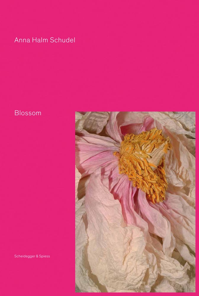 Close up image of wilted pastel pink flower, yellow stamen to centre, on pink cover, Anna Halm Schudel Blossom in pale pink