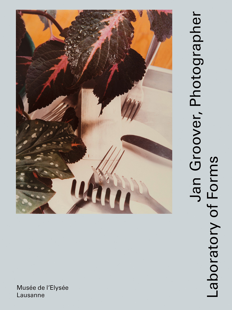 Dark green and pink house plant leaves, on white table with silver cutlery, pale blue cover, Jan Groover, Photographer in black font down right edge.