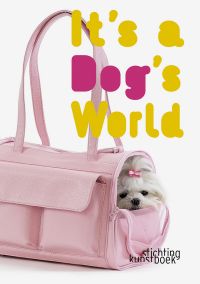 Book cover of It's a Dog's World, featuring a white Shih Tzu hiding inside a pink holdall. Published by Stichting Kunstboek.