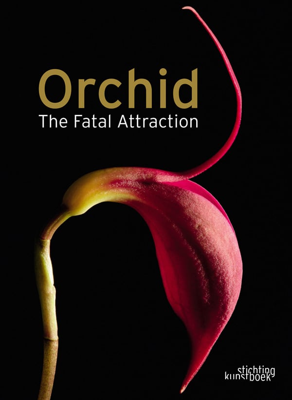 Orchid