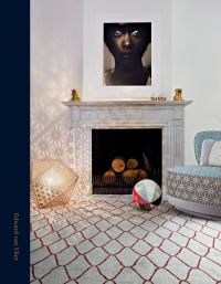 Interior with fireplace, portrait above, modern floor light, beachball cushion, on cover of 'Edward van Vliet', by Lannoo Publishers.