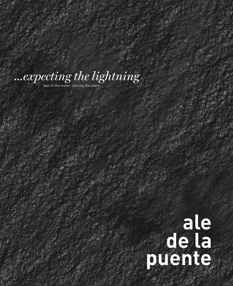 Charcoal and white textured cover with ... Expecting the Lightning in white font to upper left and ale de la puente in white font to bottom right
