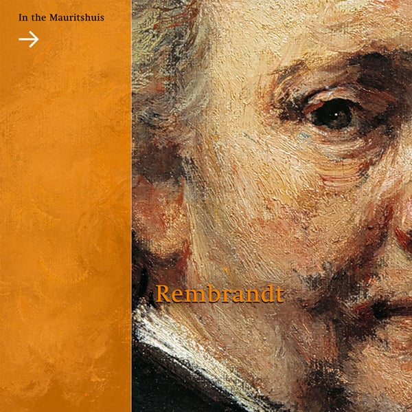 Book cover of Rembrandt in the Mauritshuis, featuring detail of an oil painting portrait with striking brush marks. Published by 5 Continents Editions.