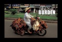 Bikes of Burden
