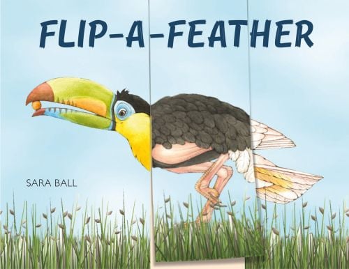 3 board sections, toucan's head and beak, a grey feathered bird, and white tailed bird, FLIP-A-FEATHER in navy font above.