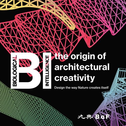 BI: the origin of architectural creativity in white font on black cover with multicoloured geometrical structured designs.