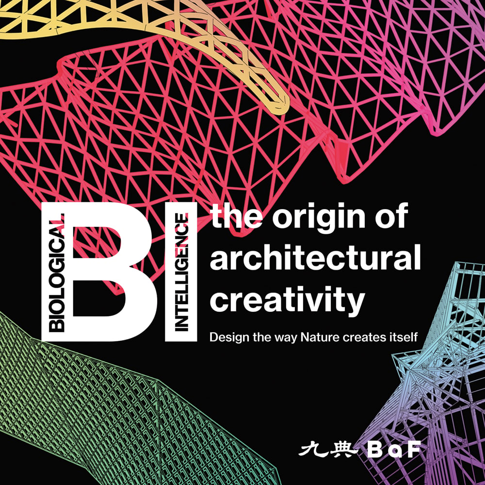 BI: the origin of architectural creativity in white font on black cover with multicoloured geometrical structured designs.