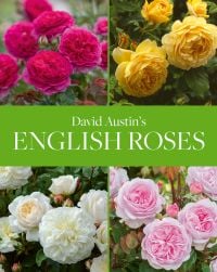 Book cover of David Austin's English Roses, with four English roses in pink, yellow and cream. Published by ACC Art Books.