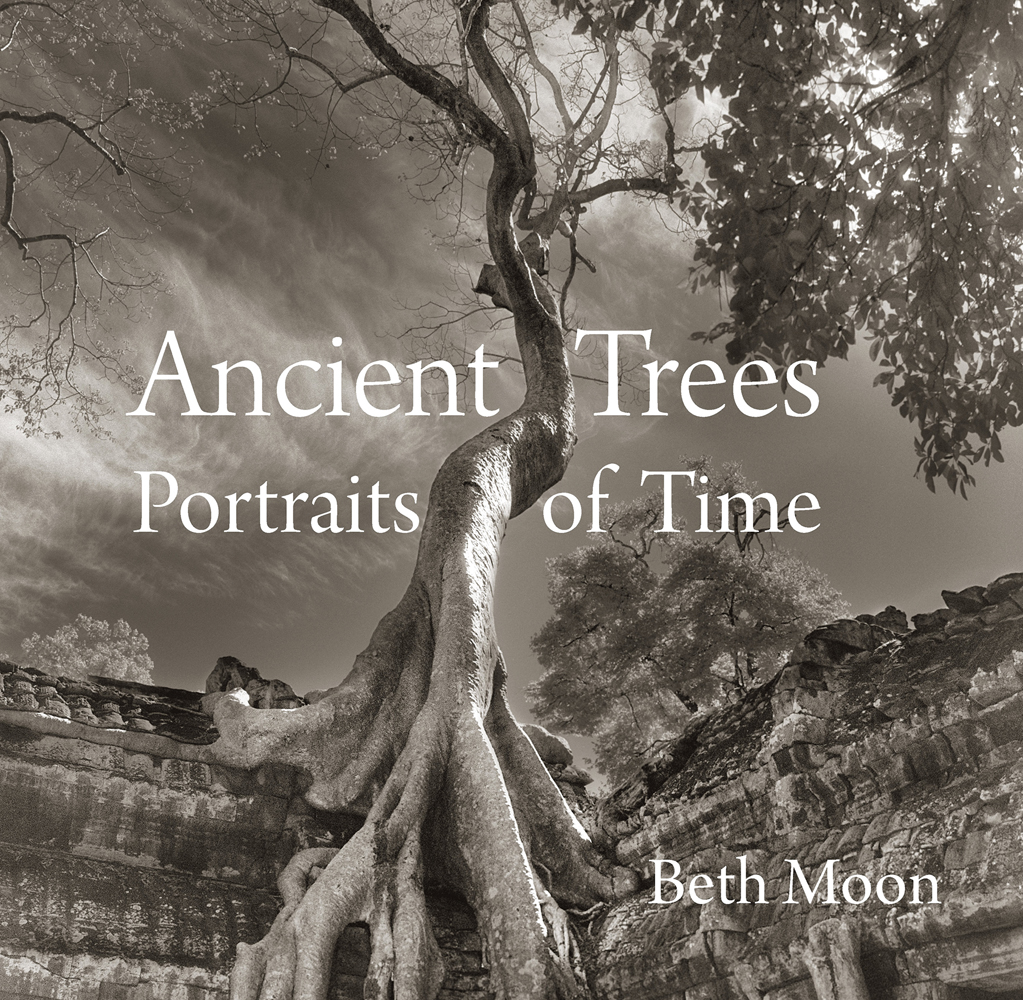Sepia toned photo of sprawling tree trunk climbing up ancient ruin, canopy obscuring sun, Ancient Trees Portraits of Time in white font near centre.