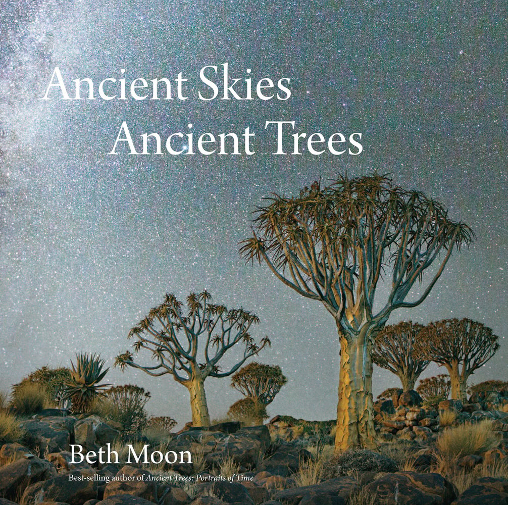 South African Quiver trees captured under a starry night sky, Ancient Skies, Ancient Trees in white font to upper left.