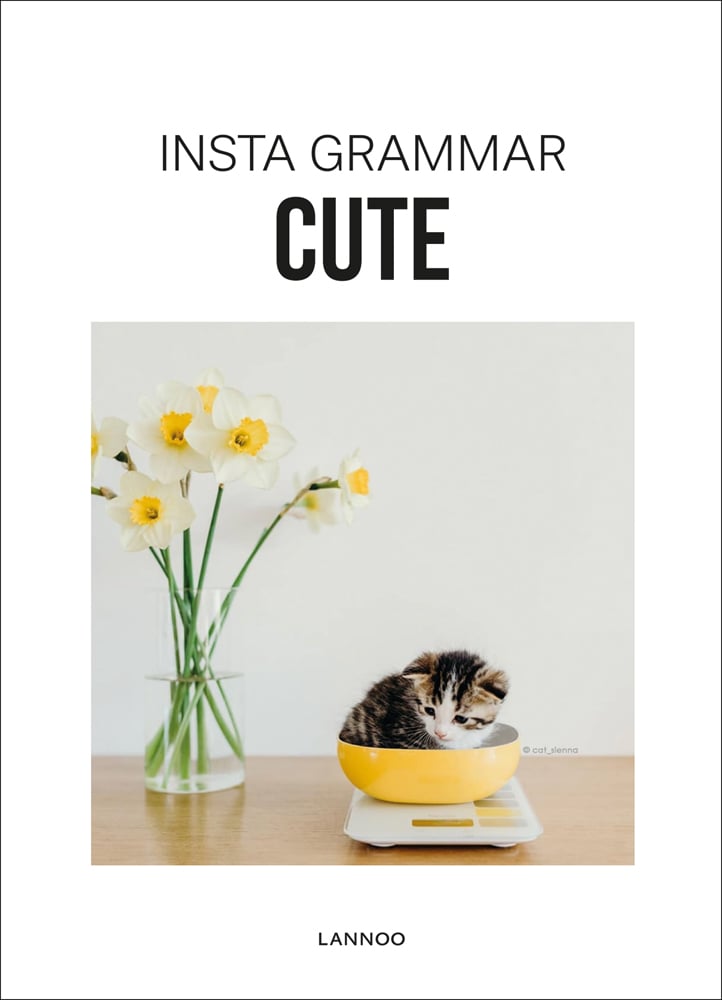 Kitten curled up in weigh scales bowl, on wood table, vase of daffodils to left, INSTA GRAMMAR CUTE in black font on white border.