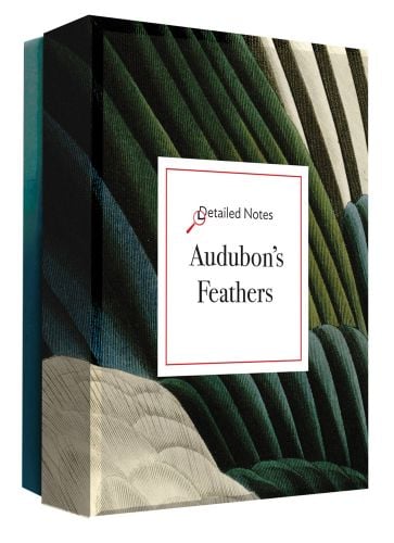 Box of Audubon's Feathers Detailed Notecard Set, featuring a close up of bird feathers in dark green, blue and white. Published by Abbeville Press.