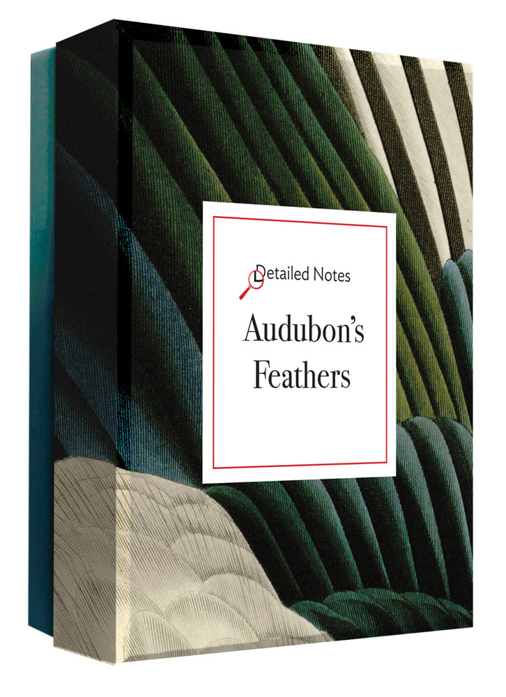 Box of Audubon's Feathers Detailed Notecard Set, featuring a close up of bird feathers in dark green, blue and white. Published by Abbeville Press.