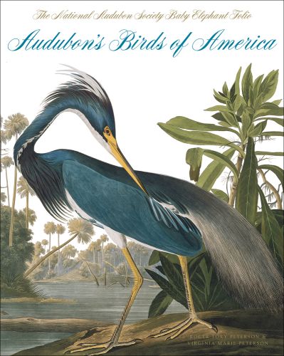 Engraving of dark blue Louisiana Heron on river sandbank, The National Audubon Society Baby Elephant Folio Audubon’s Birds of America in gold and blue font above.