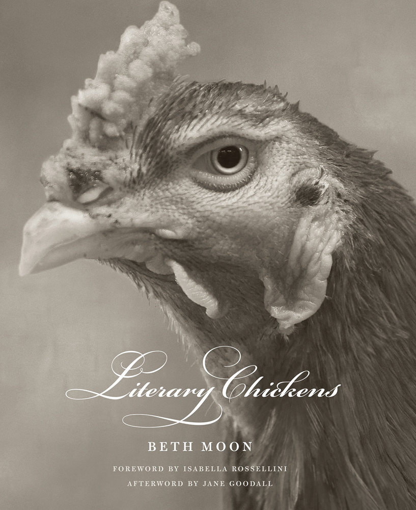 Black and white portrait of chicken's head, Literary Chickens BETH MOON in white font below, by ACC Art Books.