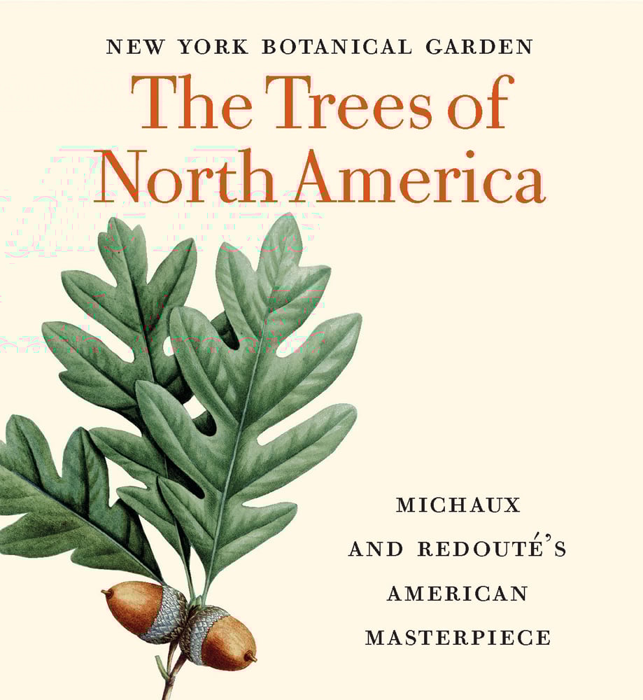 Book cover of The Trees of North America: Tiny Folio, with green leaves with two acorns. Published by Abbeville Press.
