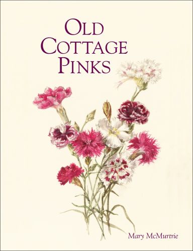 Old Cottage Pinks