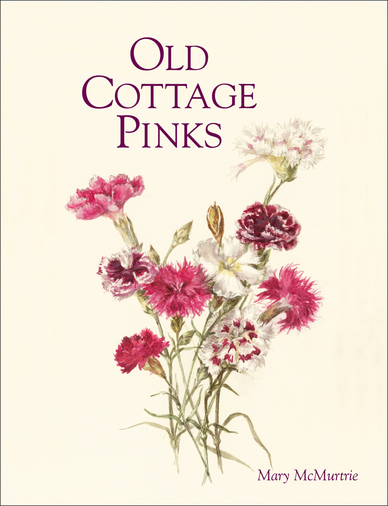 Botanical illustration of a bunch of Dianthus pink and white flowers, on cover of 'Old Cottage Pinks', by ACC Art Books.