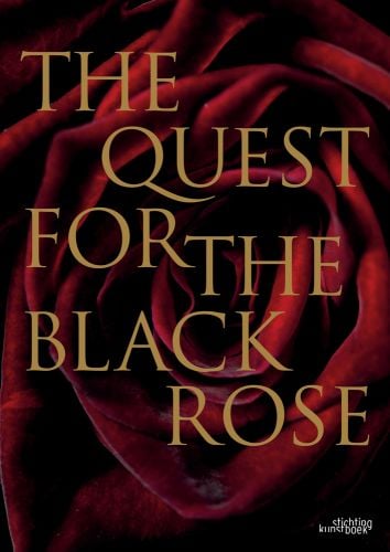 Book cover of Quest for the Black Rose, with rich red rose, and gold font. Published by Stichting.